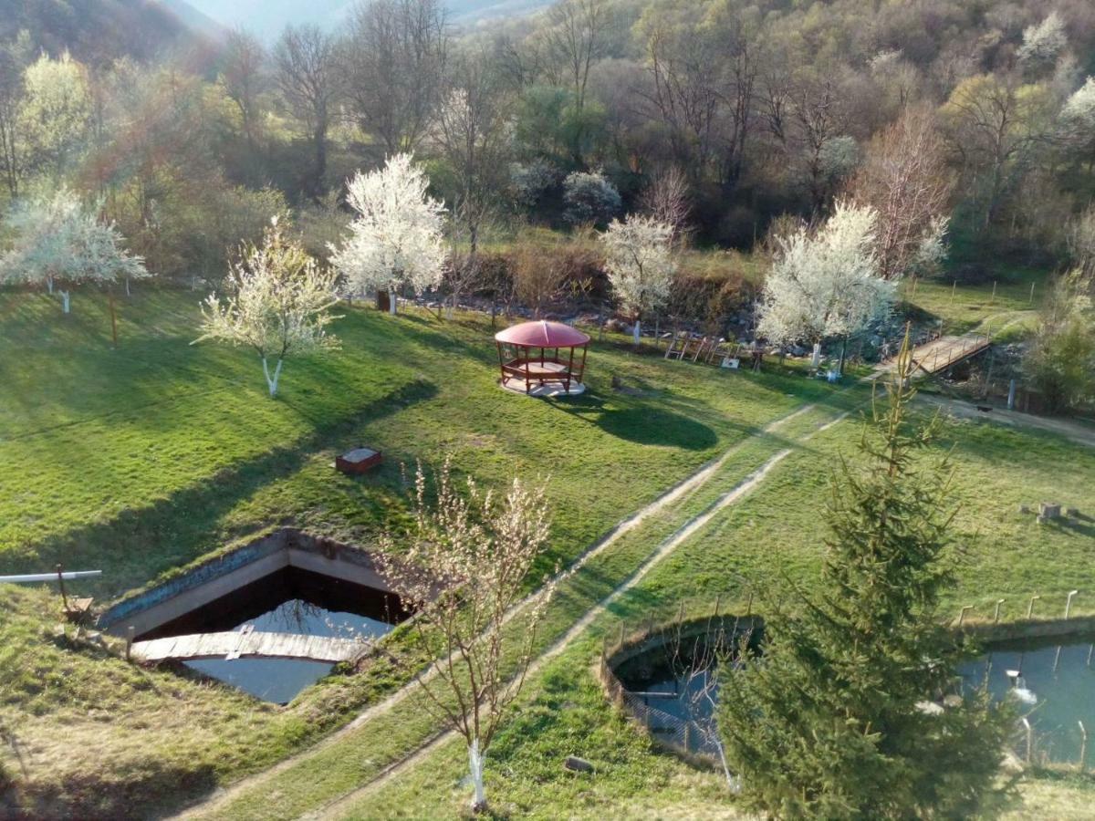 Bungalows Zdravets Berkovitsa Exterior foto