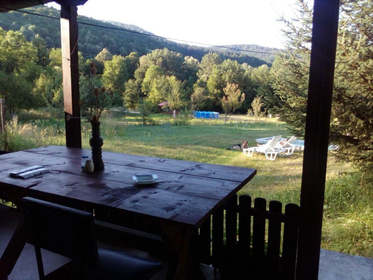 Bungalows Zdravets Berkovitsa Exterior foto