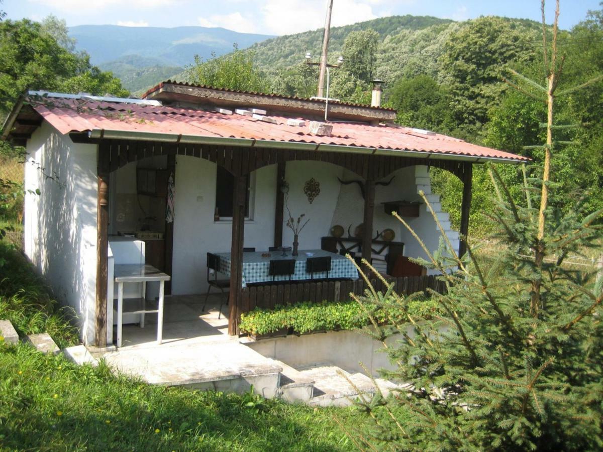 Bungalows Zdravets Berkovitsa Exterior foto