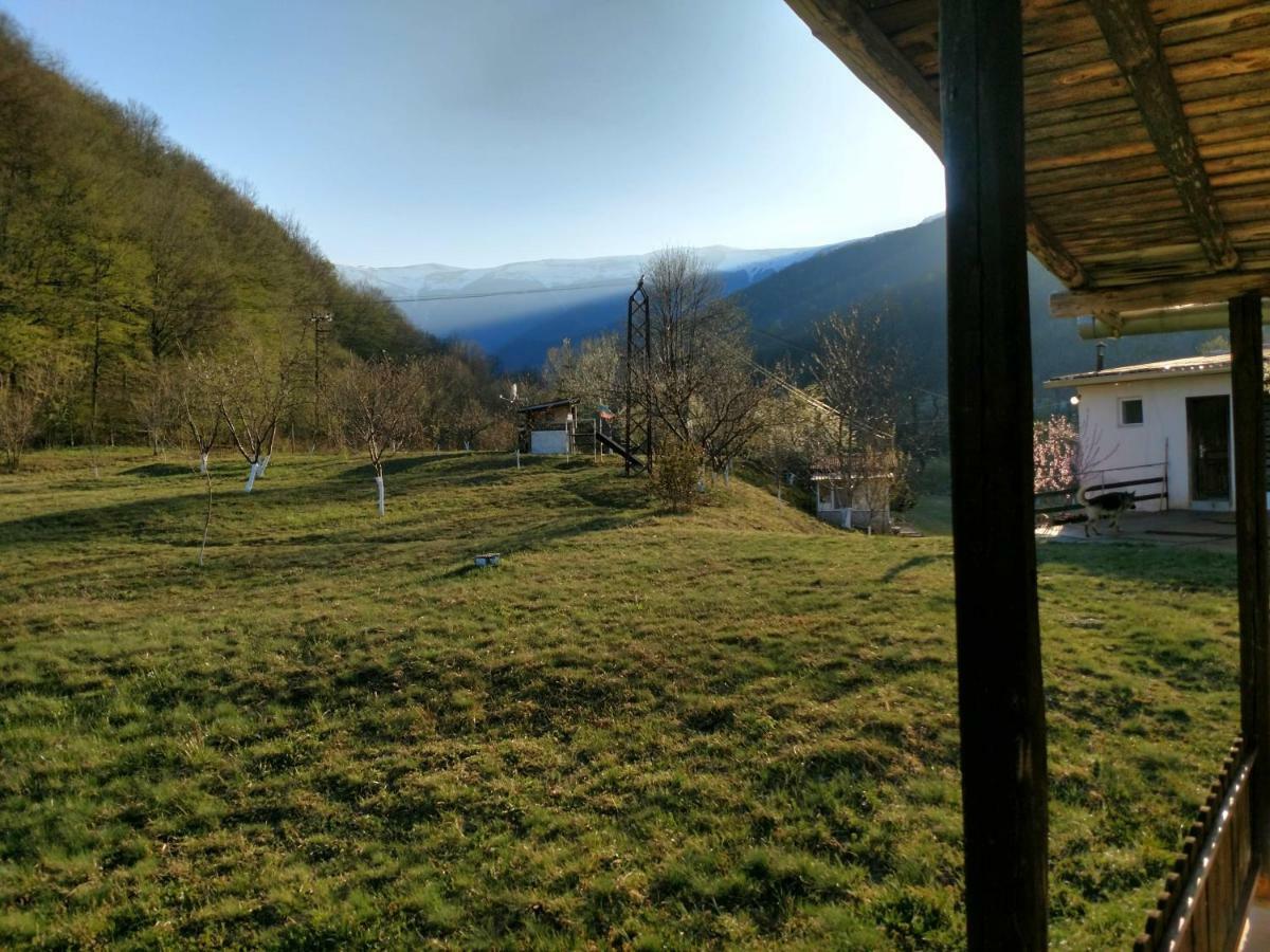 Bungalows Zdravets Berkovitsa Exterior foto